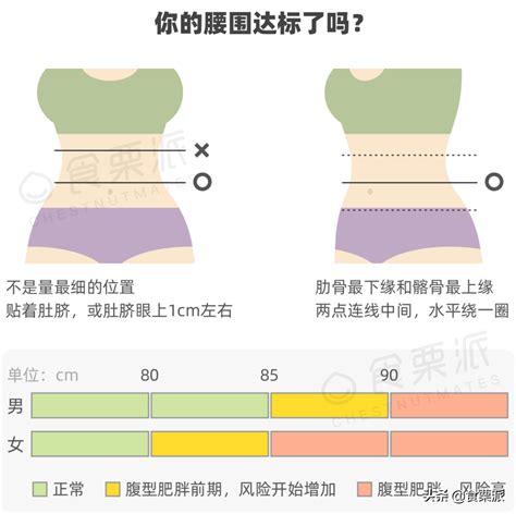 女性腰圍標準